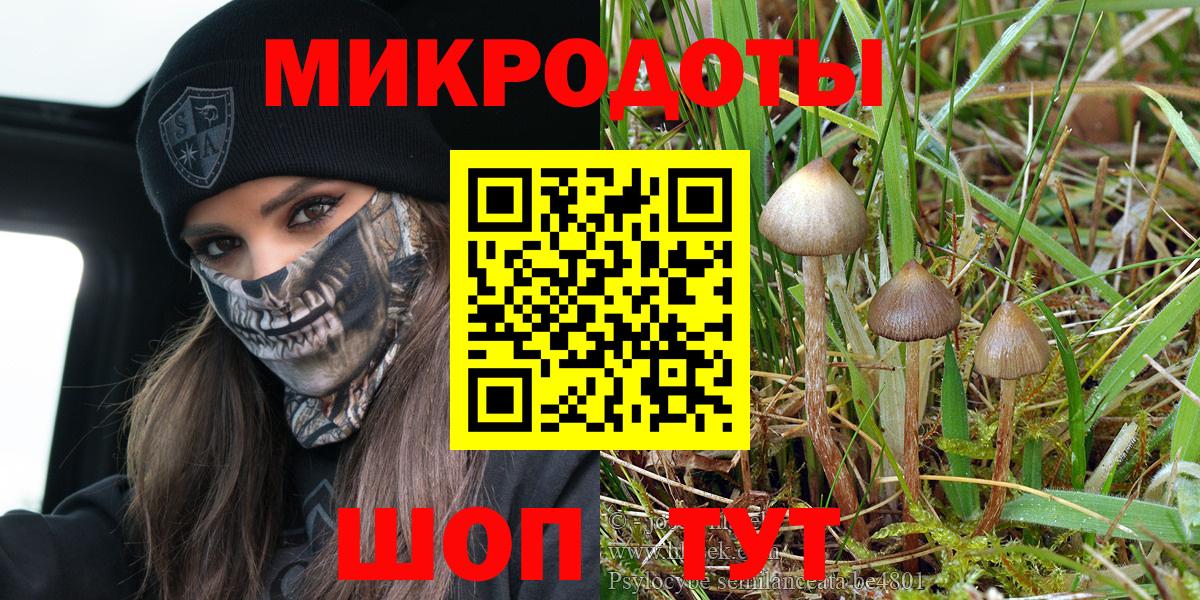 Губаха  Псилоцибиновые грибы Psilocybine cubensis  магазин  наркотиков  Вход с VPN 